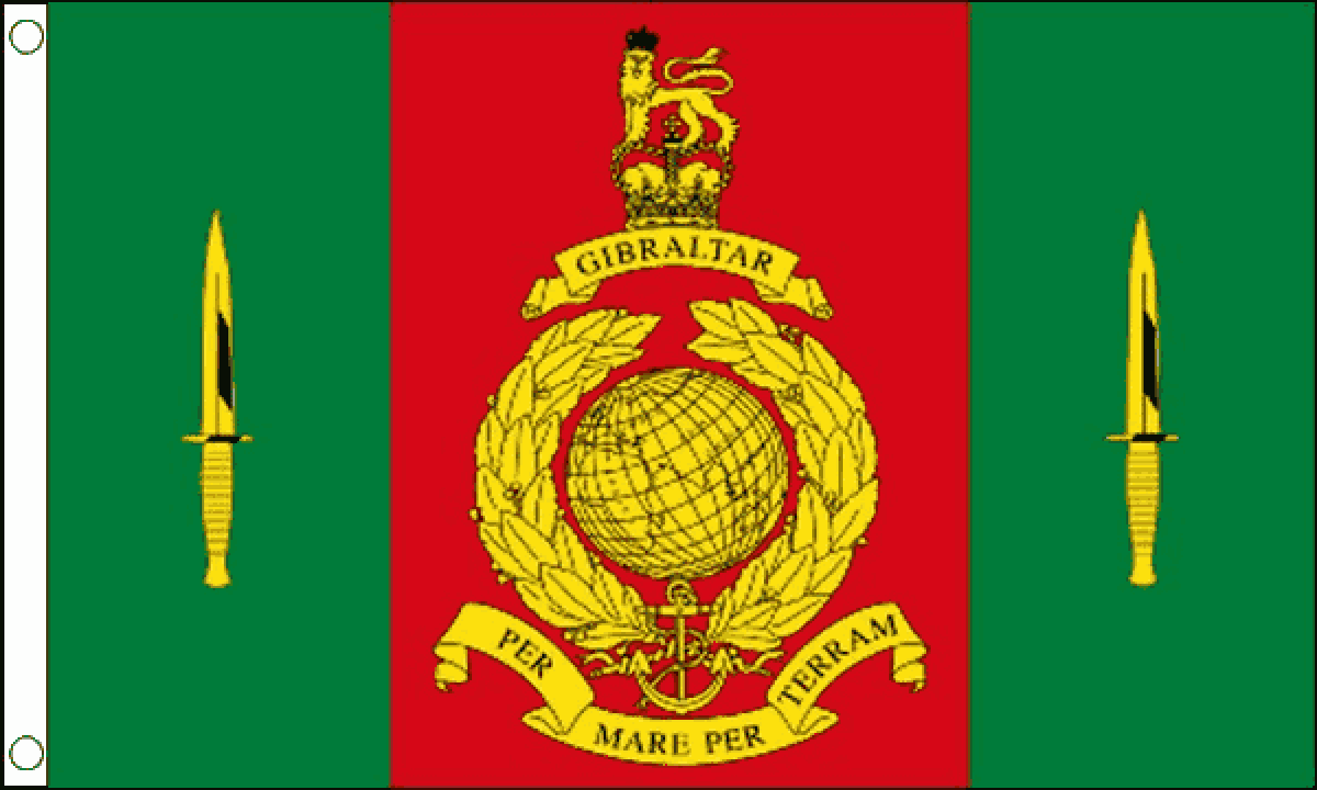 Commando Training Centre Royal Marines Flag (Medium)