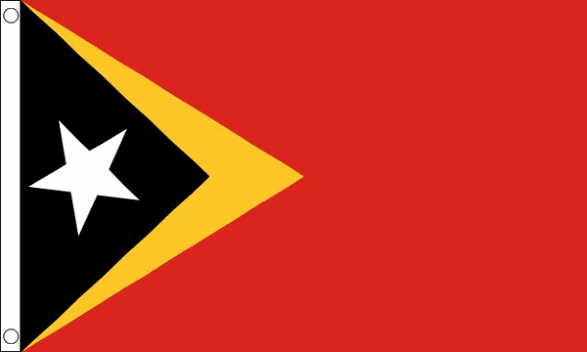 East Timor Flag (Small)