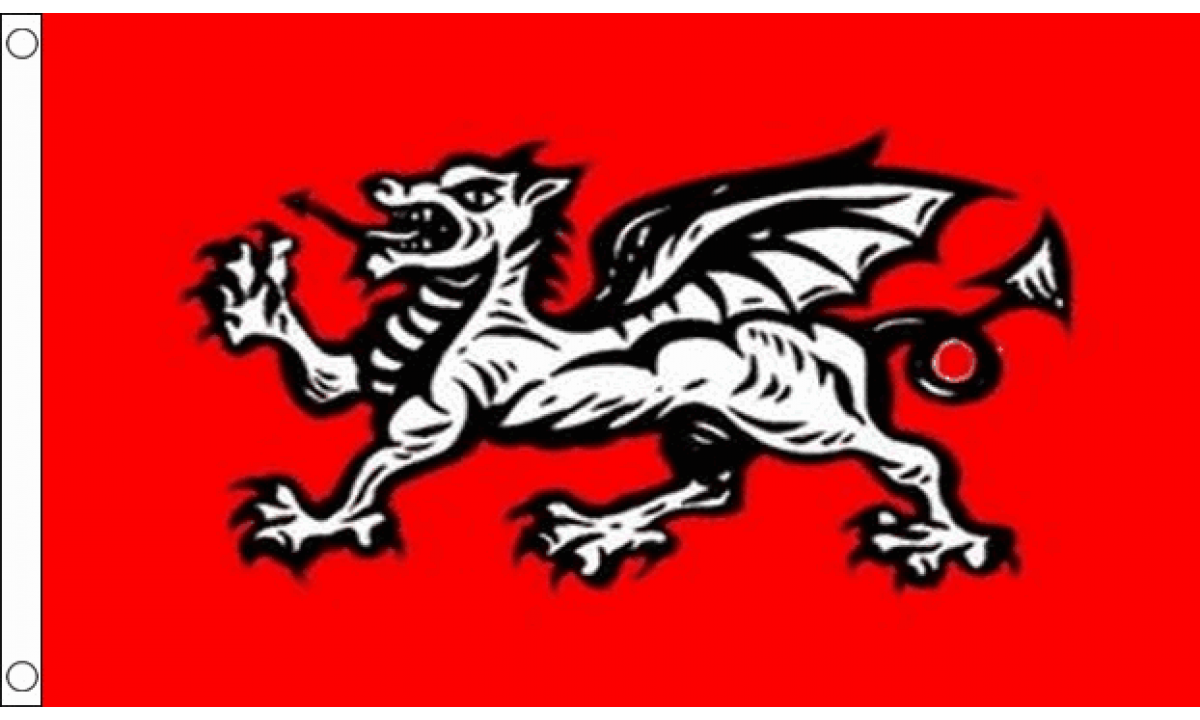 English Wessex Dragon Flag (B) Flag (Medium)