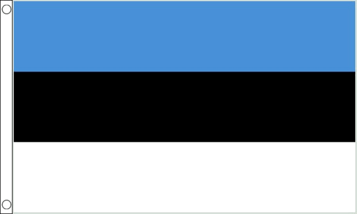 Estonia Flag (Medium)