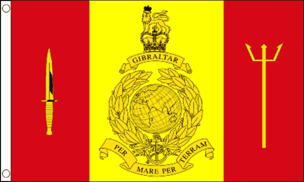 Fleet Protection Group Royal Marines  (Medium)