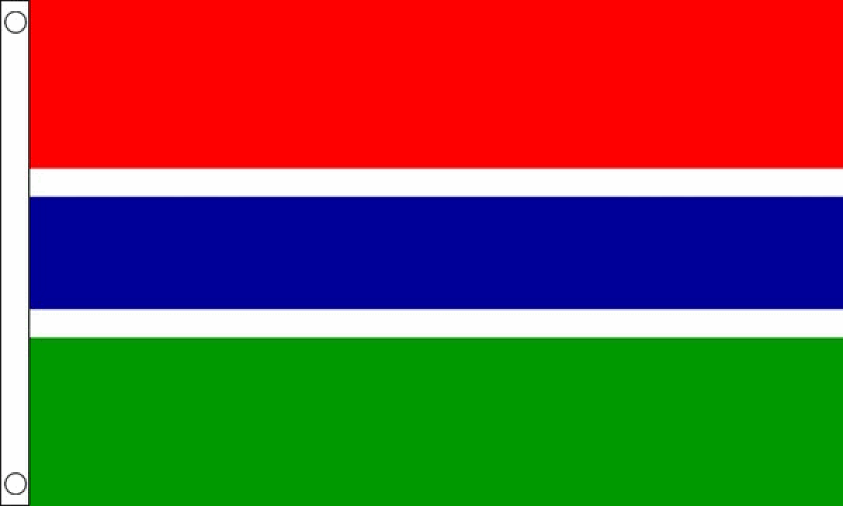 Gambia Flag (Medium)