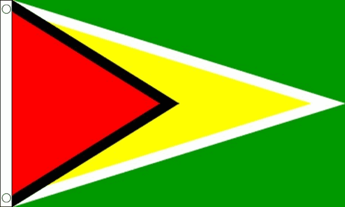 Guyana Flag (Medium)