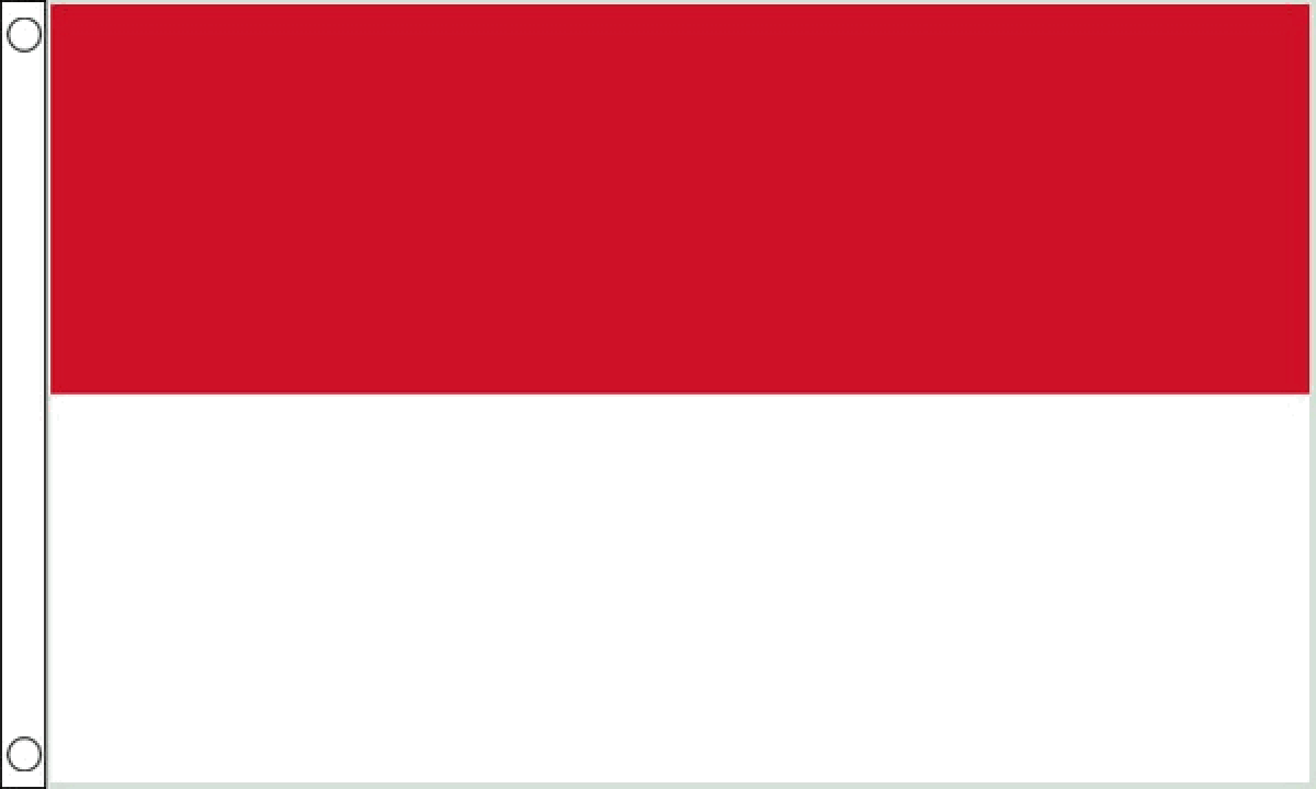Indonesia Flag (Medium)