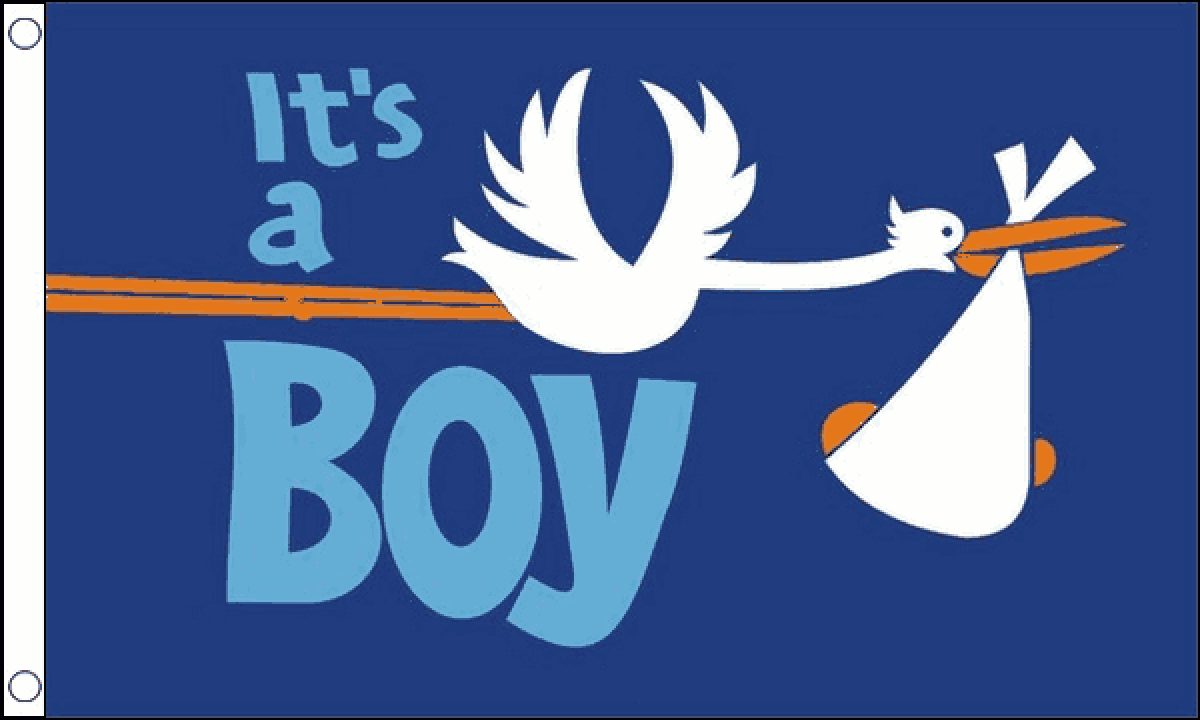 Its a Boy Flag (Medium)