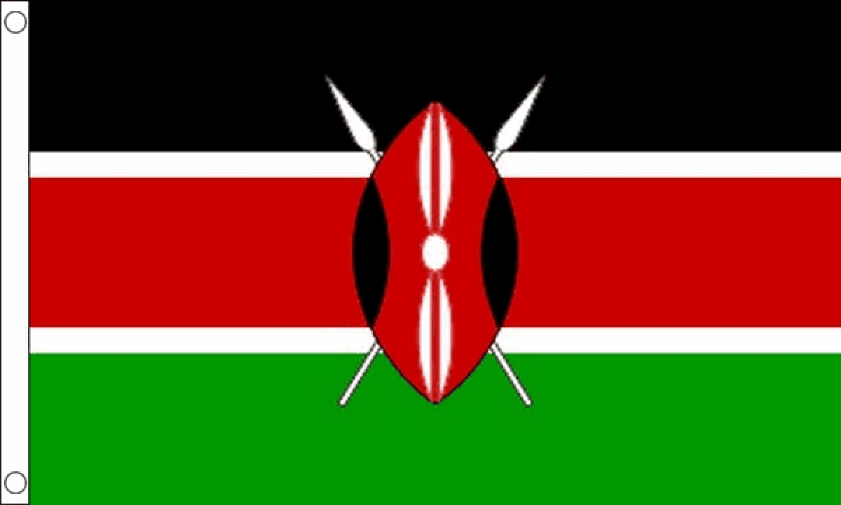 Kenya Flag (Small)