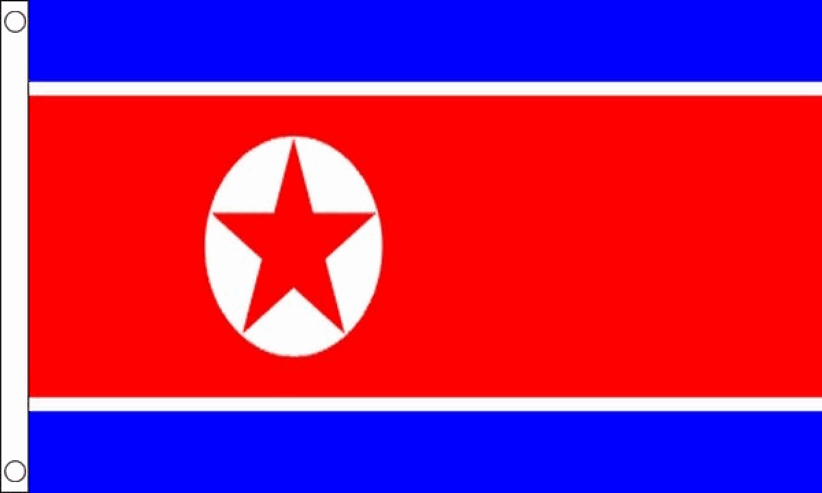 North Korea Flag (Small)