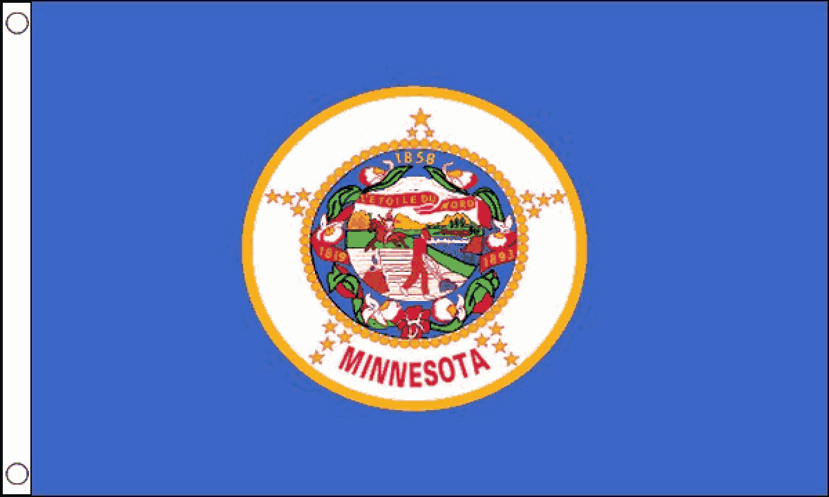 Minnesota Flag (Medium)