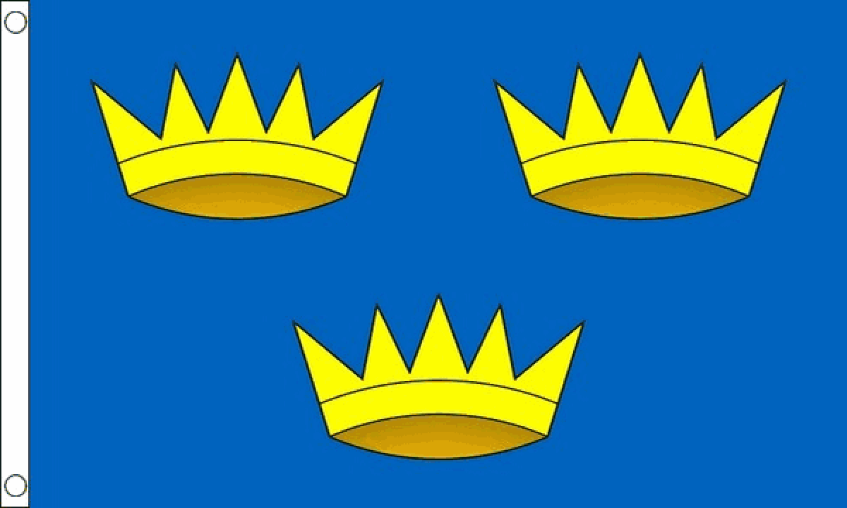 Munster Flag (Small)