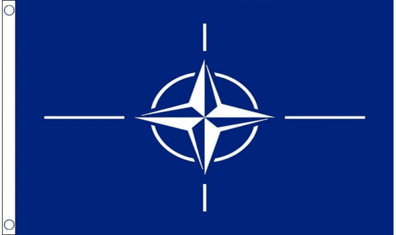 NATO Flag (Medium)