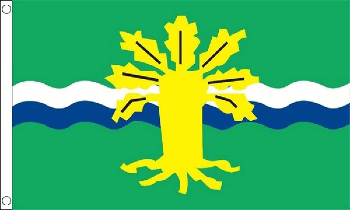 Nottinghamshire Old Flag (Medium)