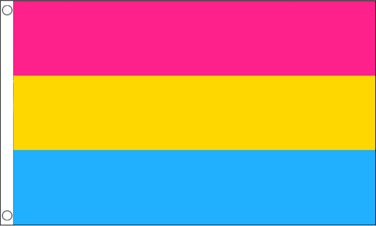 pansexual flag