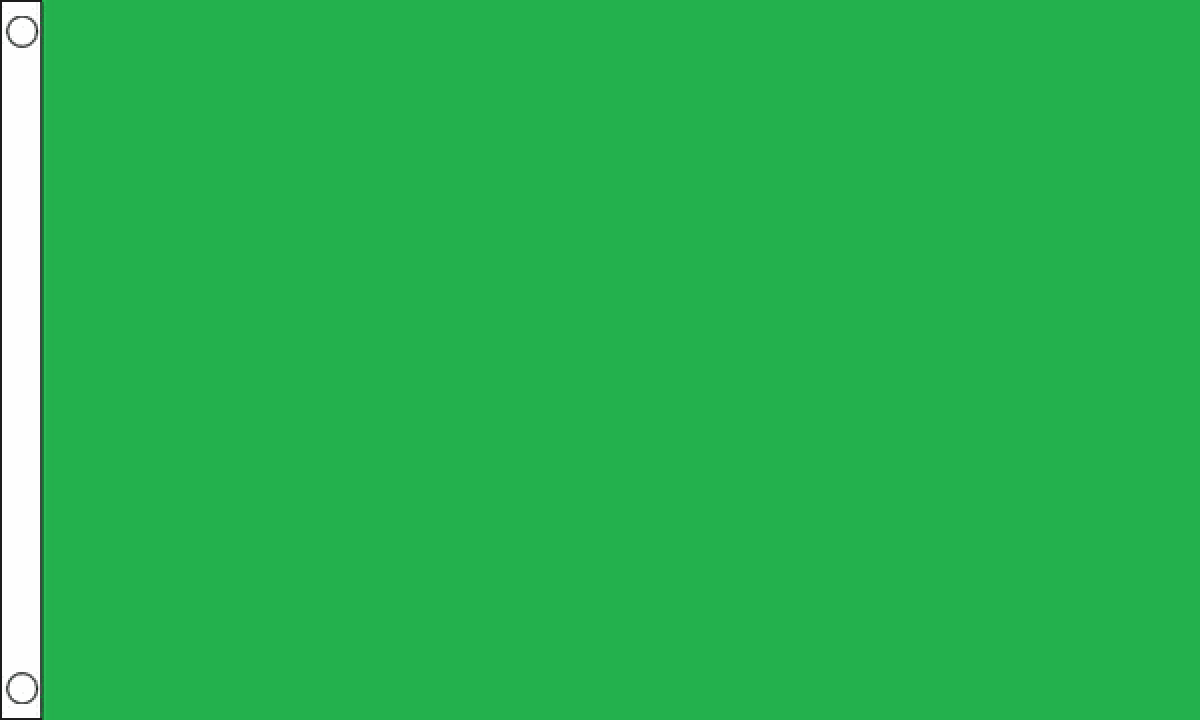 Plain Green Flag (Medium)