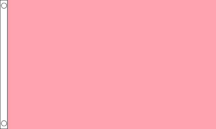 Pink Co Flag Plain Pink Flag (Medium)