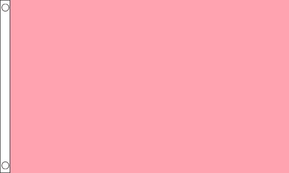 Plain Pink Flag (Medium)
