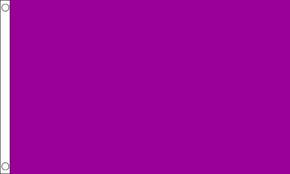Plain Purple Flag (Small)