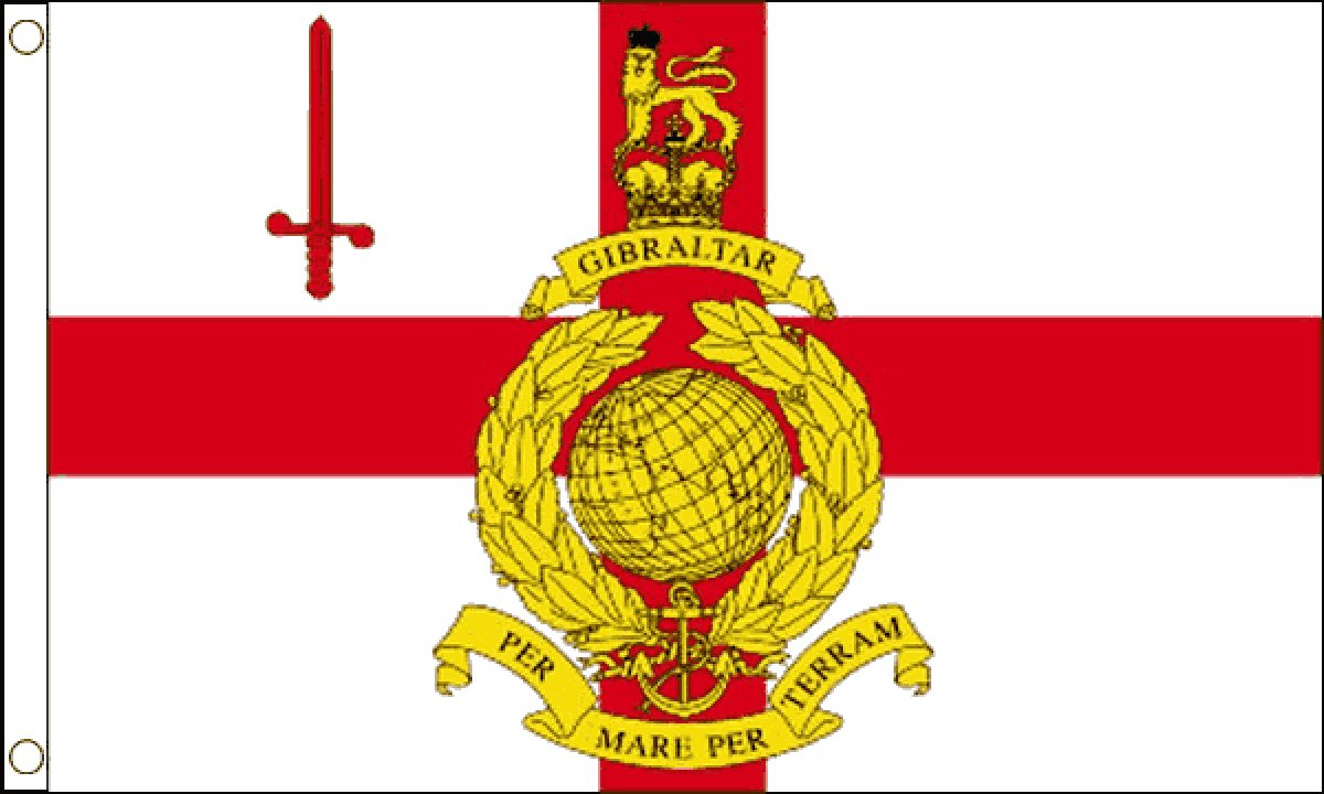 Royal Marines Reserve London Flag (Medium)