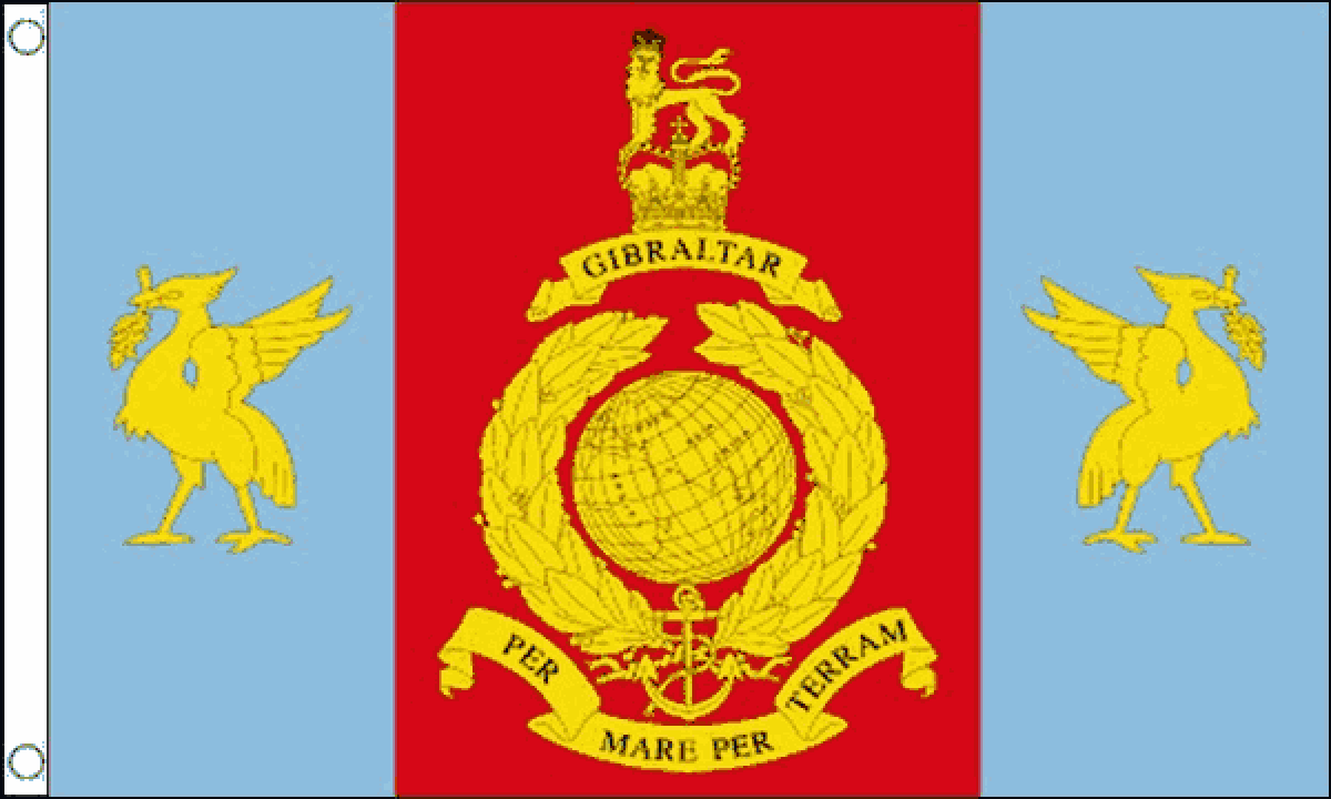 Royal Marines Reserve Merseyside Flag (Medium)