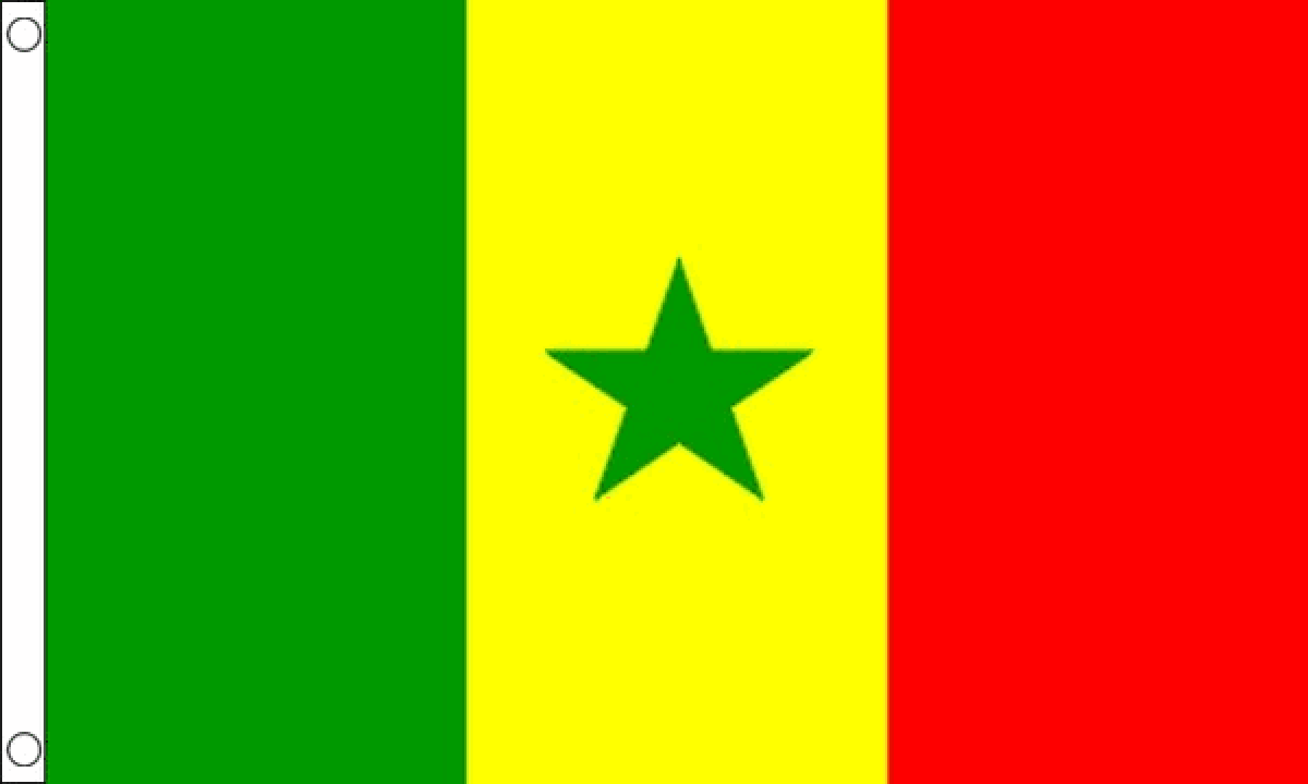 Senegal Flag (Medium)