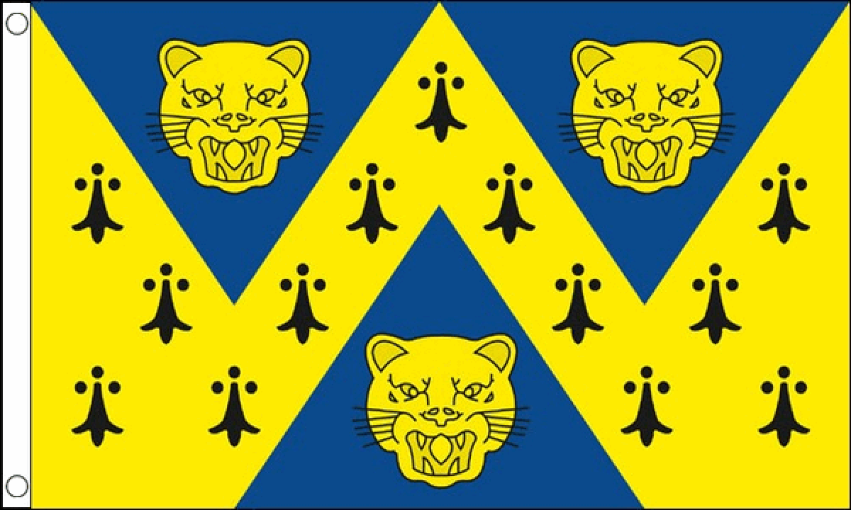 Shropshire New Flag (Medium)