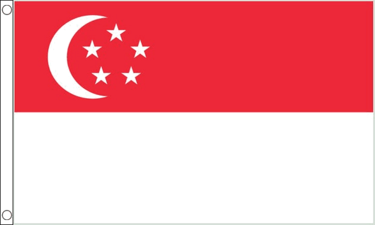 Singapore Flag (Medium)