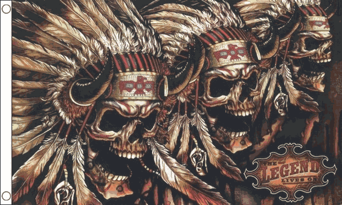 Skull Native American Flag  (Medium)