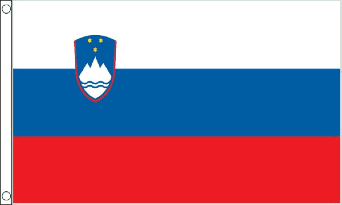 Slovenia Flag (Medium)