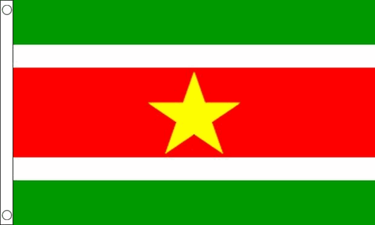 Suriname Flag (Medium)
