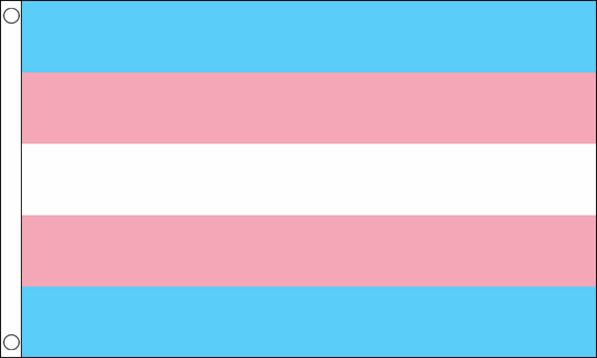 Transgender (New) Flag (Medium)