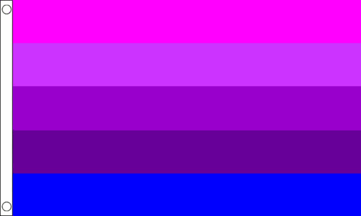 Transgender (Old) Flag (Medium)
