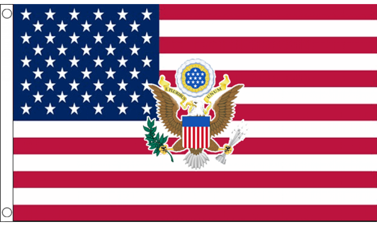 USA Navy Logo Flag (Medium)