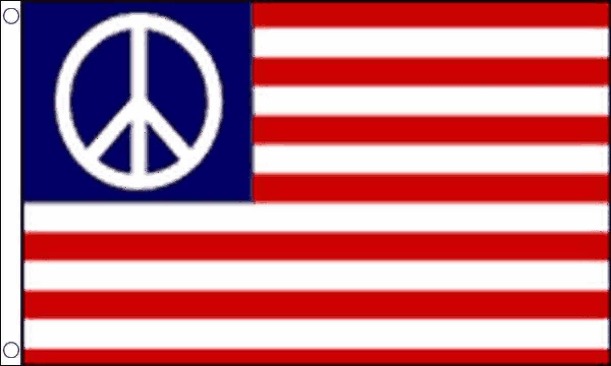 USA Peace Flag (Medium)
