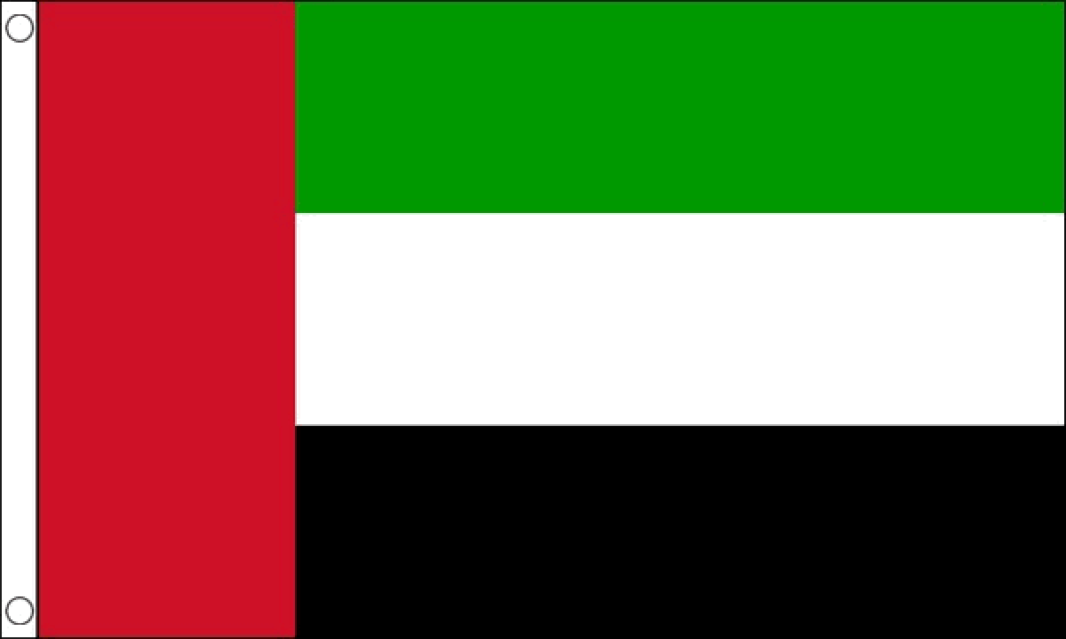 United Arab Emirates  Flag (Small)