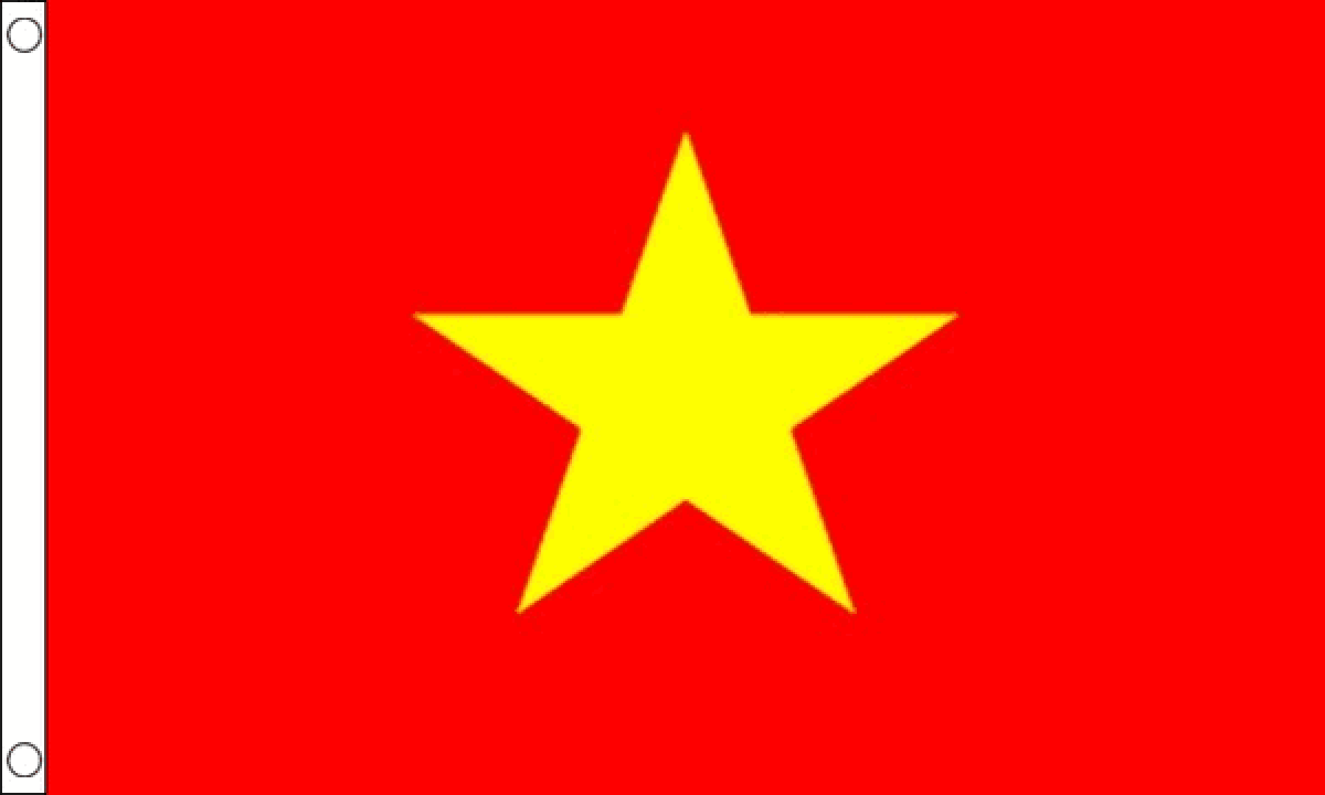 Vietnam New Flag (Medium)