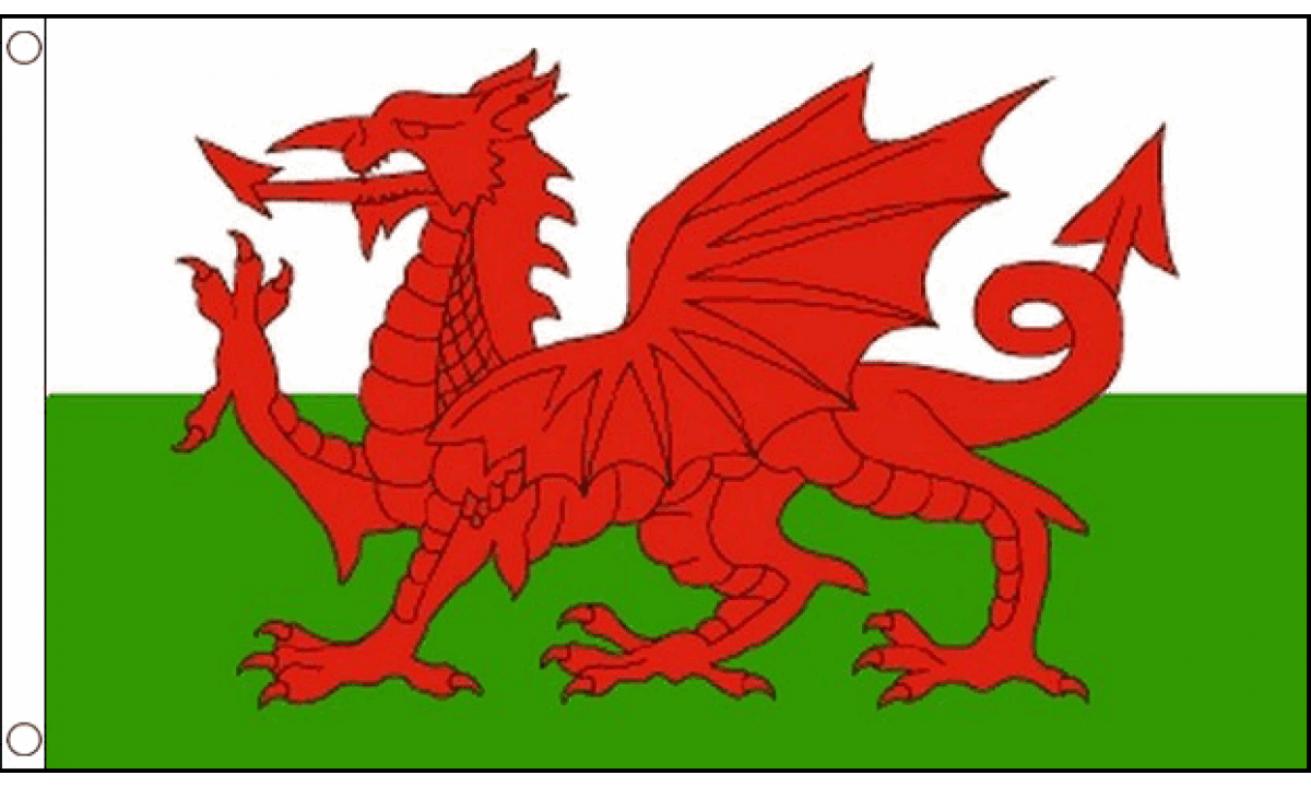 Wales Flag (Large)