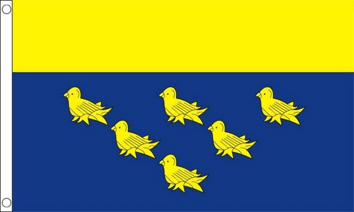 West Sussex Flag (Medium)
