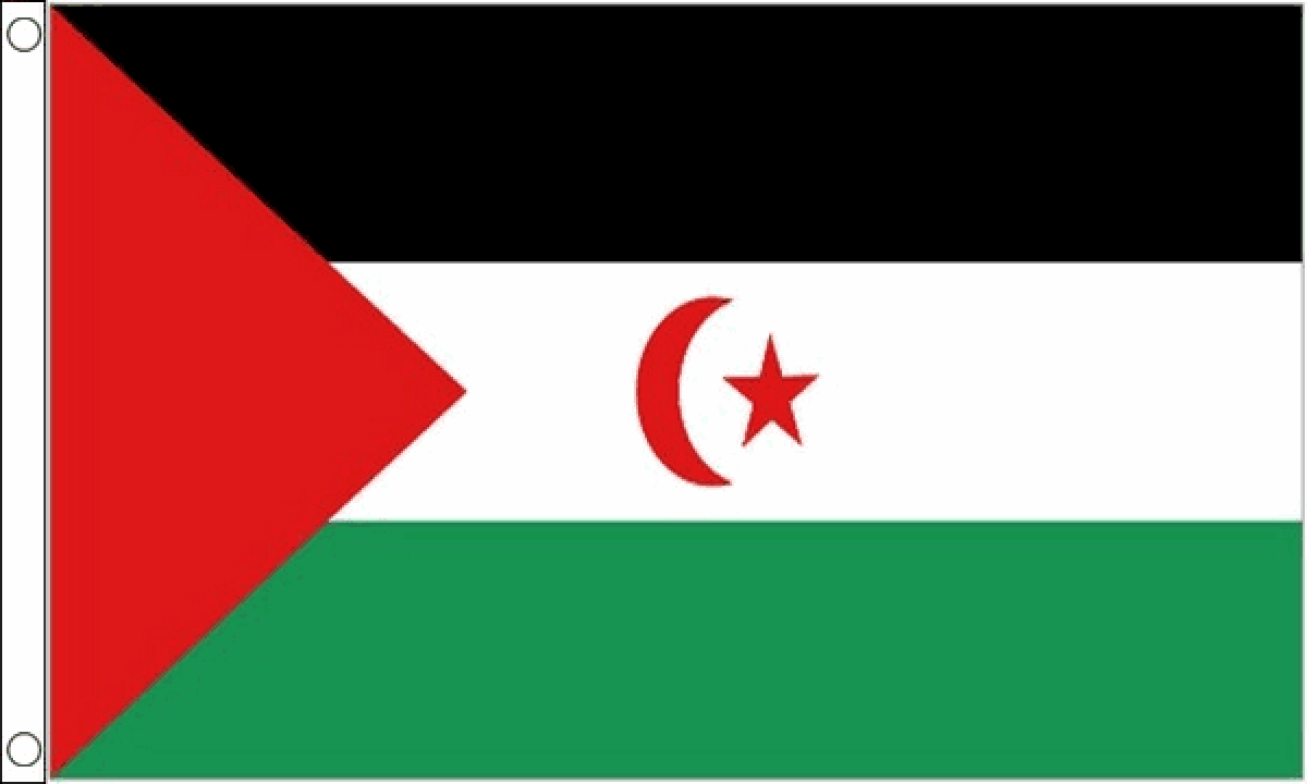 Western Sahara Flag (Medium)