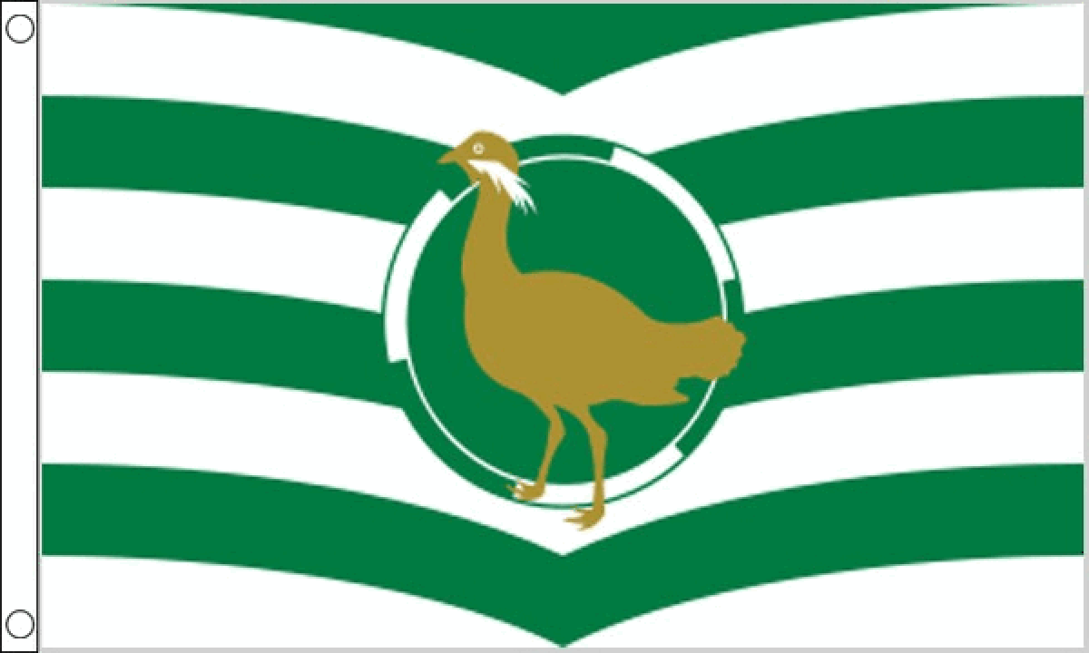 Wiltshire New Flag (Medium)