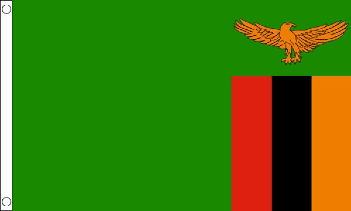 Zambia Flag (Medium)