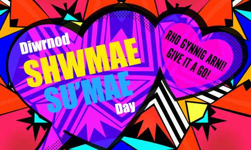 Shwmae Rocks Shwmae Day Outdoor Quality Flag