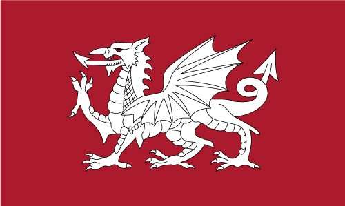 st edmunds flag white dragon