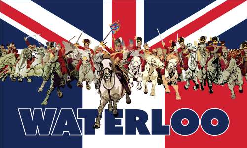 Waterloo Outdoor Quality Flag