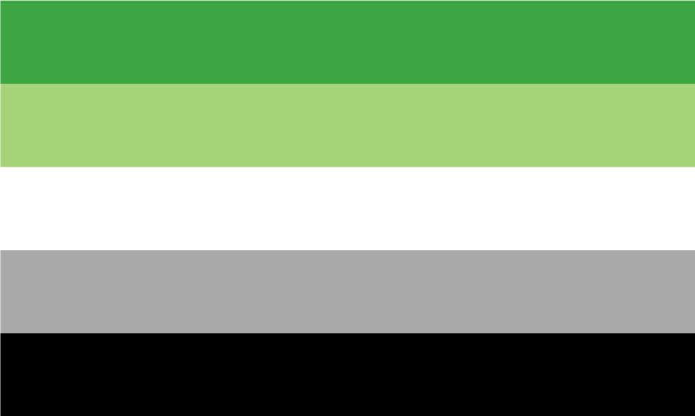 Aromantic Pride Outdoor Quality Flag