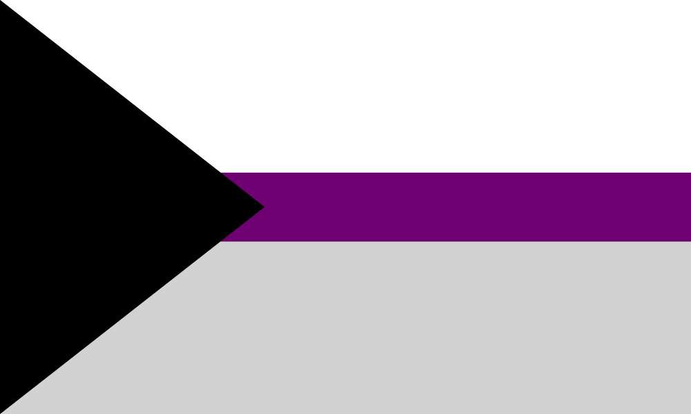 Demi Sexual Pride Outdoor Quality Flag