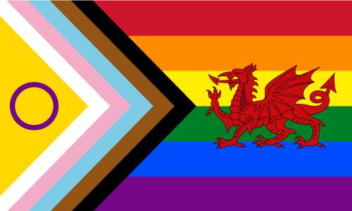 Intersex Progress Pride Wales Outdoor Quality Flag