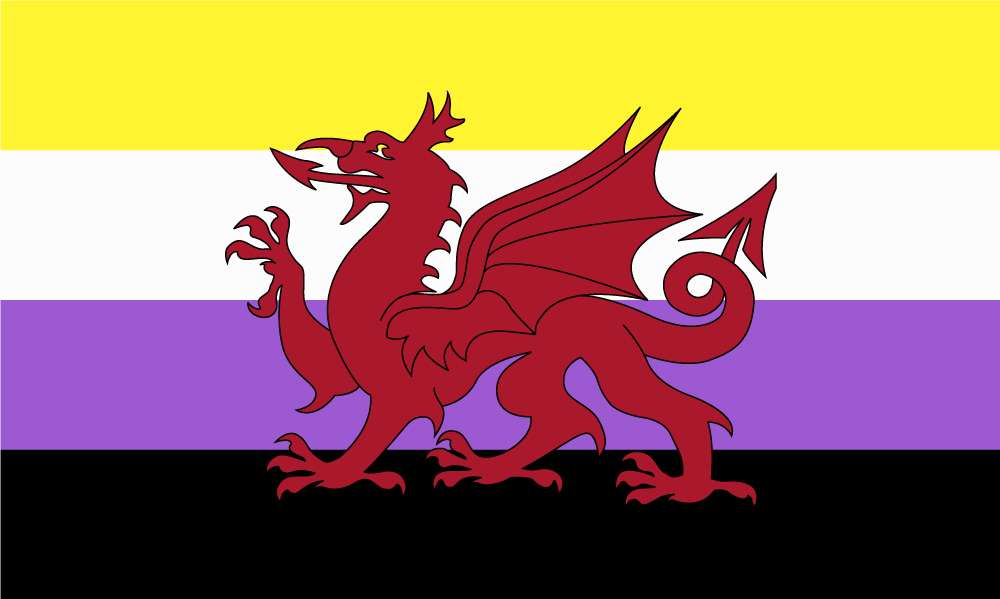 Non Binary Pride Wales Outdoor Quality Flag