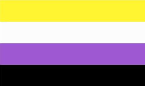 Non Binary Pride Flag