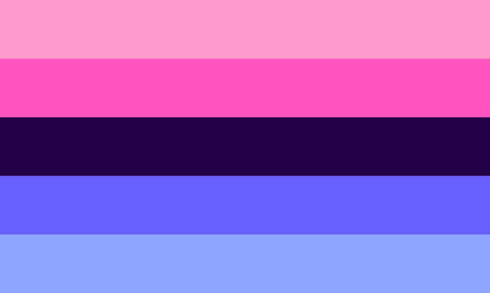 Omnisexual Pride Outdoor Quality Flag