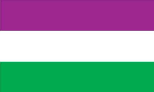 Suffragette Flag