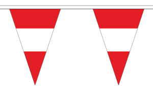 Northumberland 20M Triangle Flag Bunting Triangular Large 54 Flags